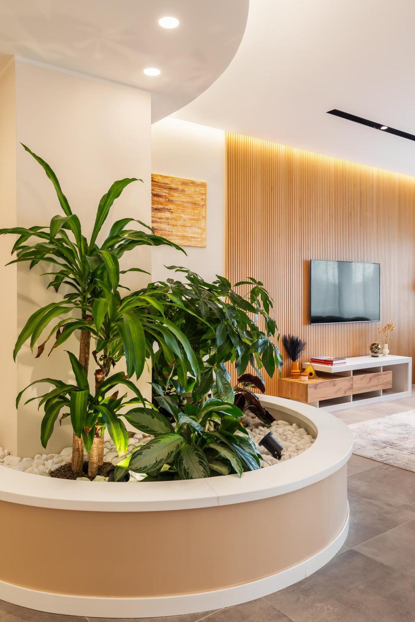 Domus Regum Roma